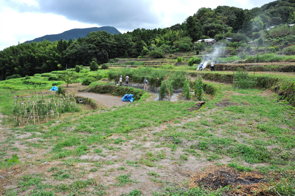 銀河鉄道 利用概要